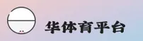 使用指南与常见问题